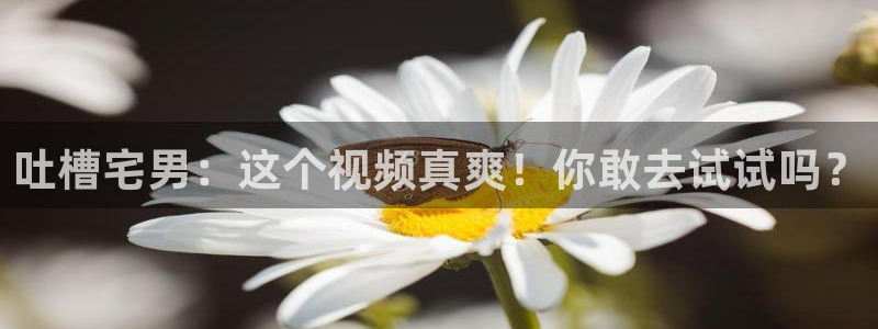狗子28.ccmpc