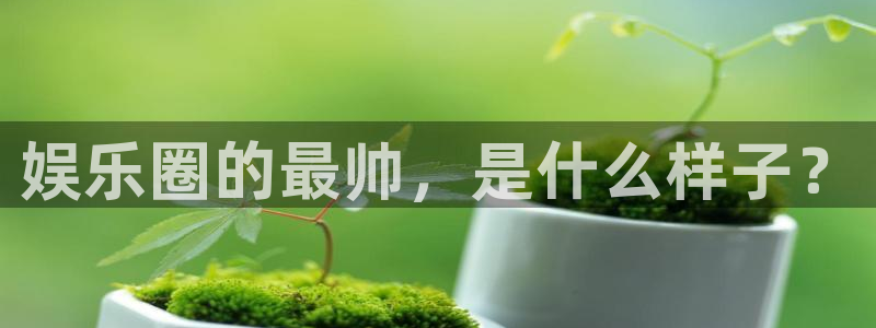 狗子28