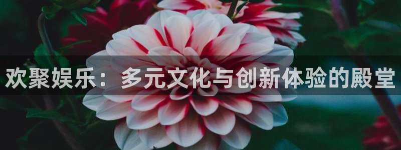 狗子28.ccmpc：欢聚娱乐：多元文化与创新体验的殿堂
