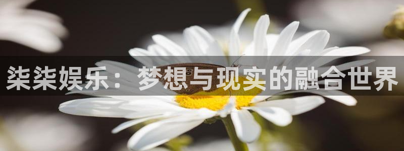 狗子28链接：柒柒娱乐：梦想与现实的融合世界
