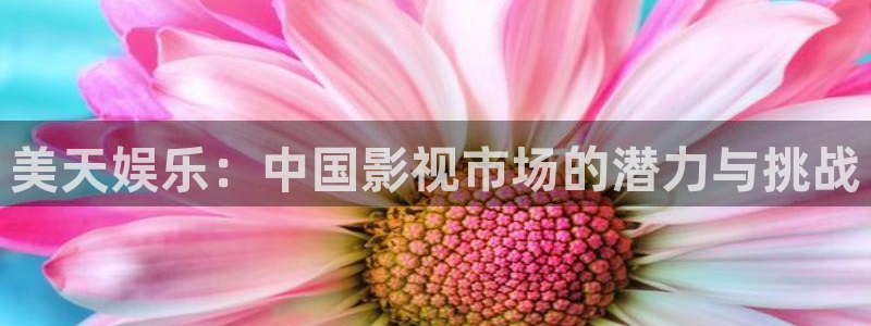 狗子28pg游戏官网版：美天娱乐：中国影视市场的潜力与挑战