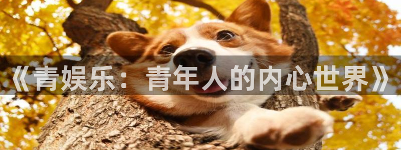 狗子28链接：《青娱乐：青年人的内心世界》