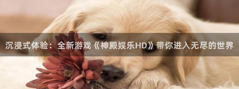 狗子28官网：沉浸式体验：全新游戏《神殿娱乐HD》带你进入无尽的世界