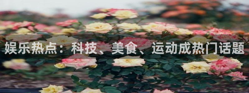 狗子28.ccm官网：娱乐热点：科技、美食、运动成热门话题