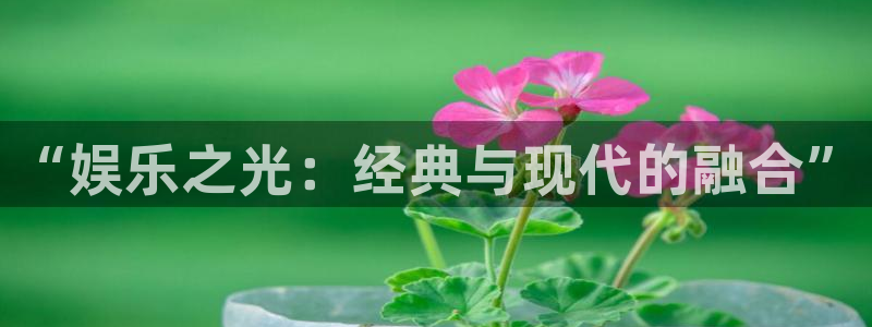狗子28.ccm官网：“娱乐之光：经典与现代的融合”